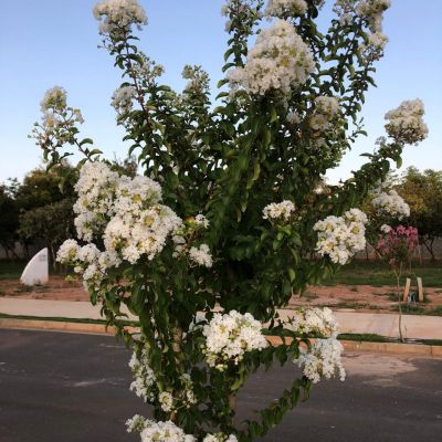 WhatsApp Image 2020 05 04 At 10.35.03 (1)