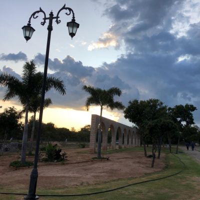 WhatsApp Image 2020 05 04 At 10.35.03 (4)