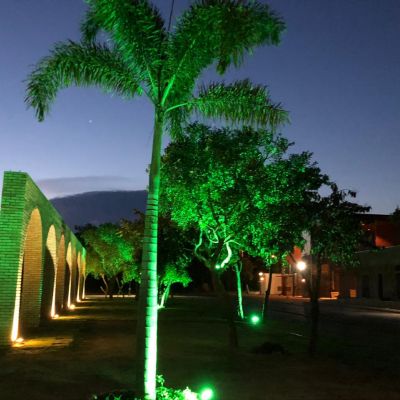 WhatsApp Image 2020 05 04 At 10.35.05 (1)