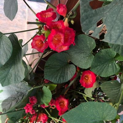 WhatsApp Image 2020 06 17 At 11.15.18 (3)