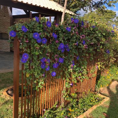 WhatsApp Image 2020 06 17 At 11.15.18 (5)