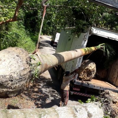 Acnt Village Bahia 030