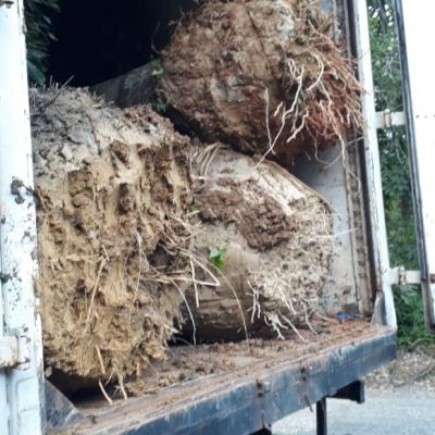 Acnt Village Bahia 032