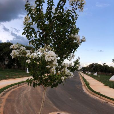 WhatsApp Image 2020 05 04 At 10.35.03 (2)