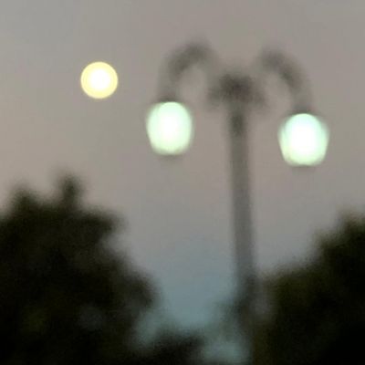 WhatsApp Image 2020 06 17 At 11.15.19 (3)