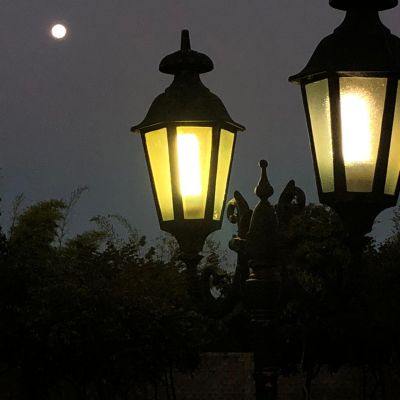 WhatsApp Image 2020 06 17 At 11.15.19