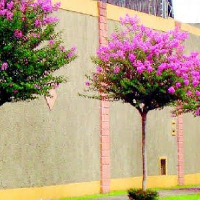 Acnt Village Bahia 033